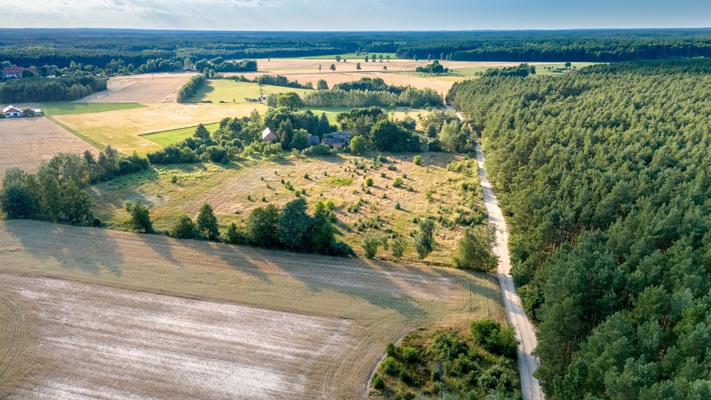 Widok na las, 5 min od miasta