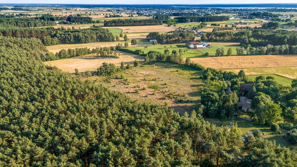 Widok na las, 5 min od miasta
