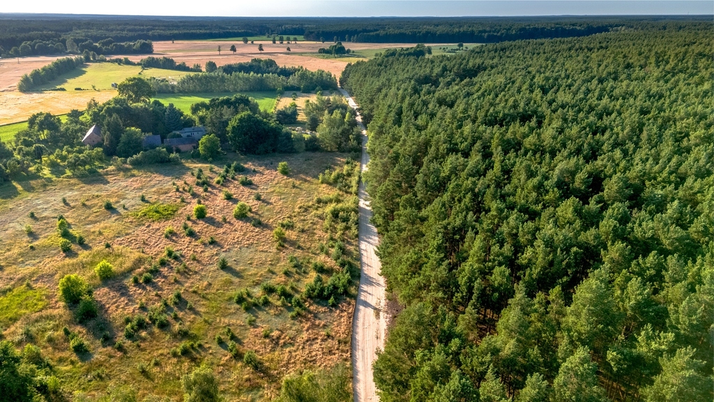 Widok na las, 5 min od miasta