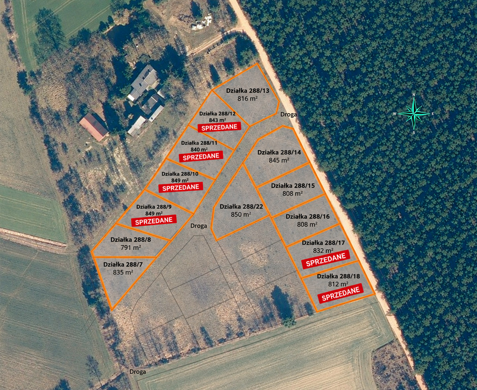 Widok na las, 5 min od miasta