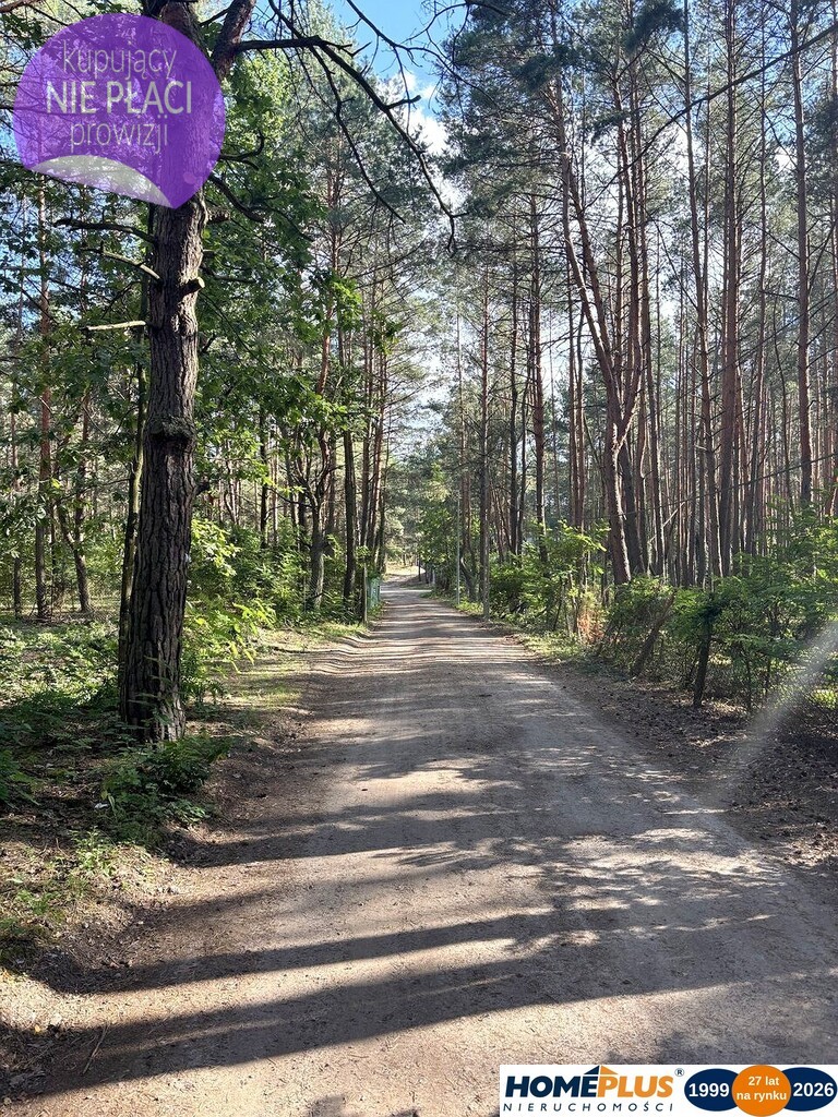 Działka budowlana w lesie, Łosie koło Radzymina