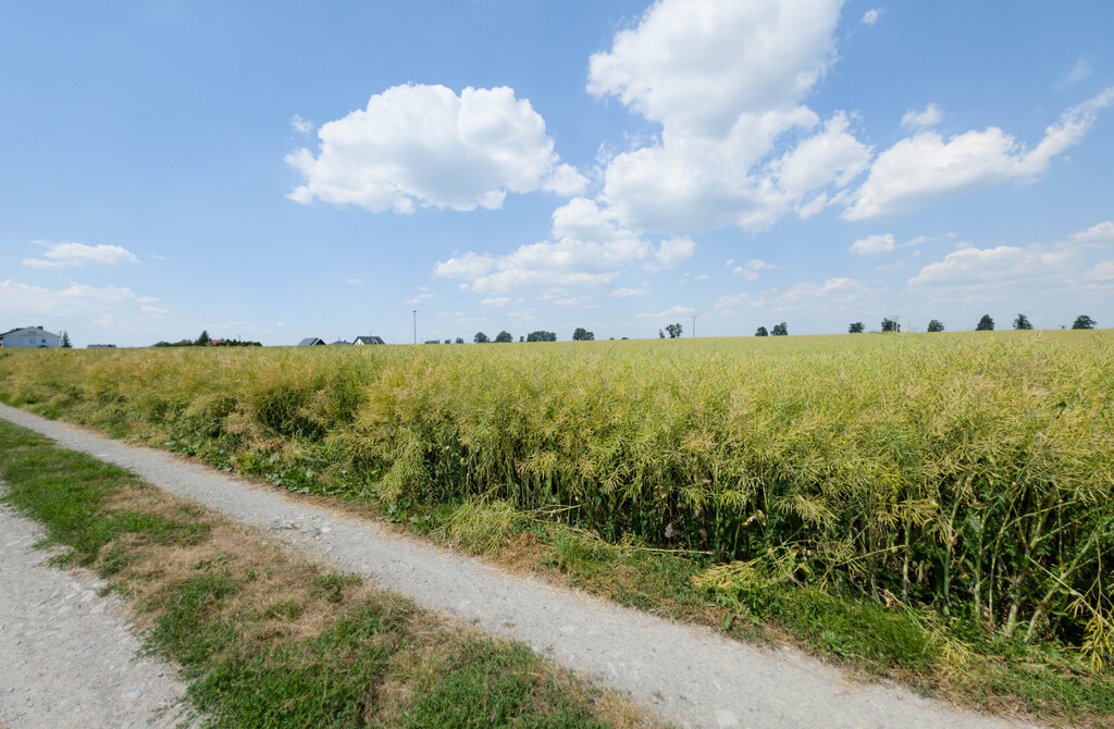 Działka 1140 m² Przeworsk ul. Korczaka – MPZP