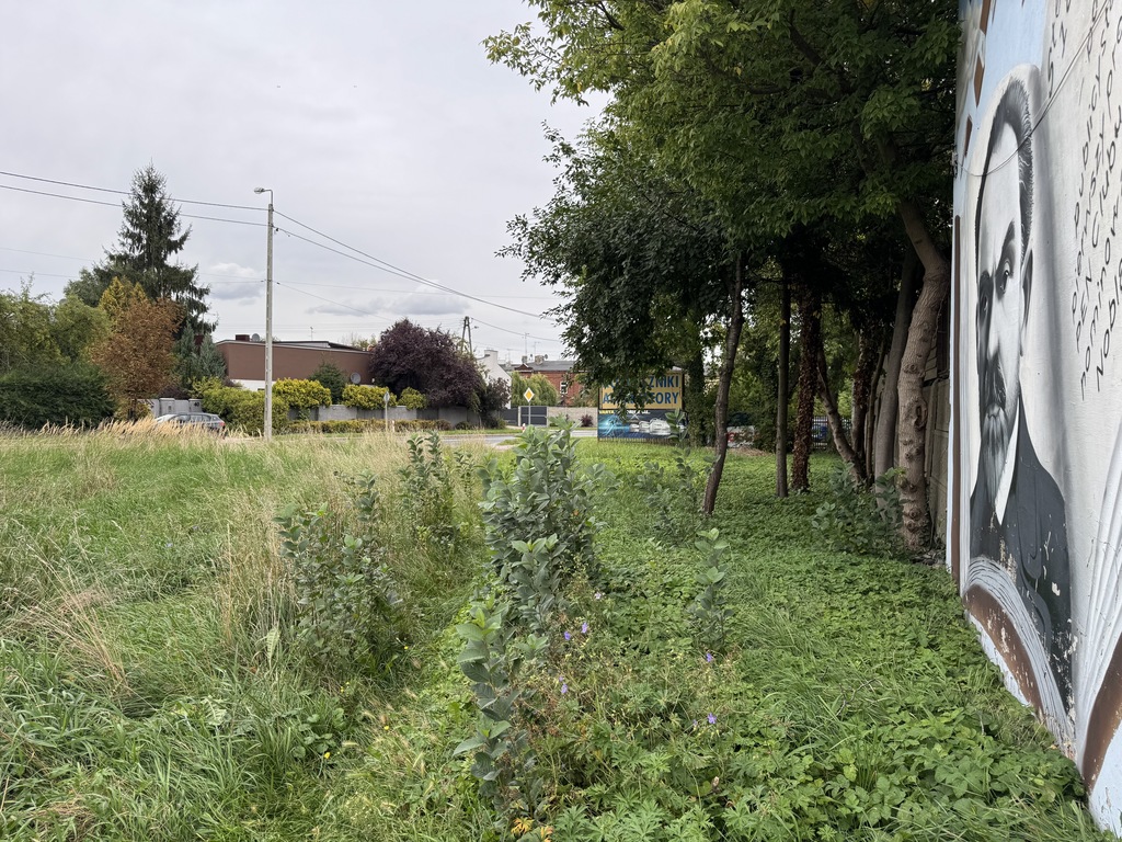 Działka 542 m², inwestycyjna, MPZP
