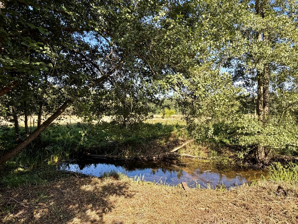Działka inwestycyjna 1 392m², Tanowo | Witorza