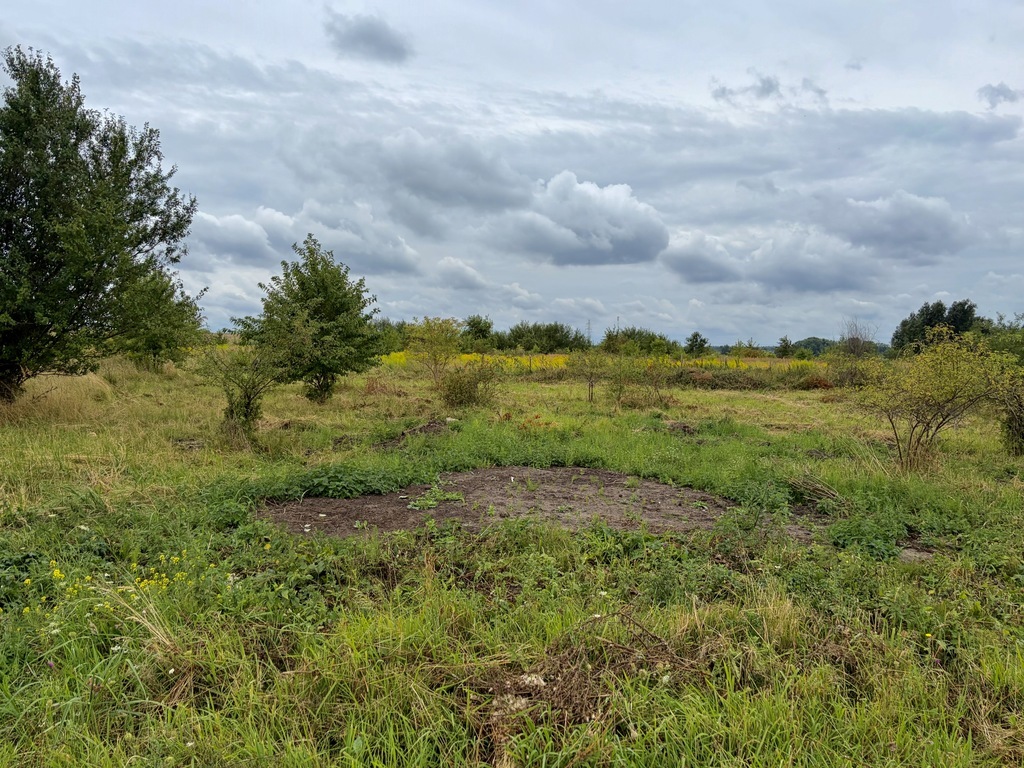 Wołczkowo | 805 m² | MPZP | Badania gruntu |