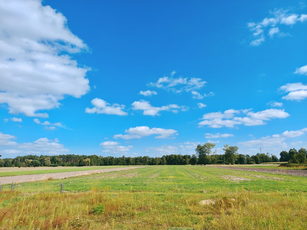 1,6 HA NATURY. 202 M² POTENCJAŁU | Czepów, Uniejów