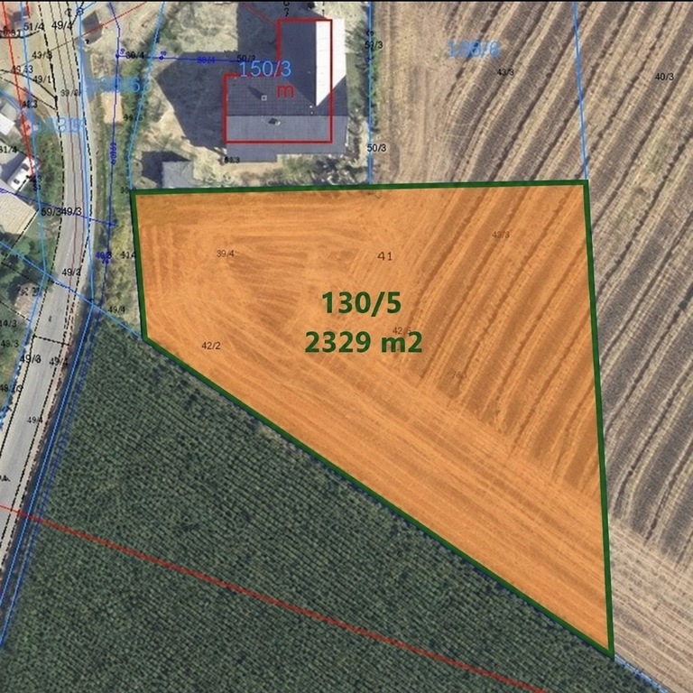 Działka budowlana blisko Torunia – spokój natury
