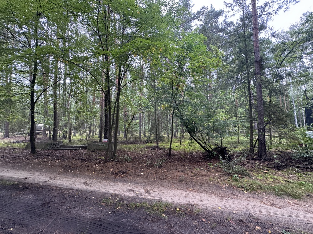 Twoje prywatne grzyby Działka 1993 m² Nowy Adamów