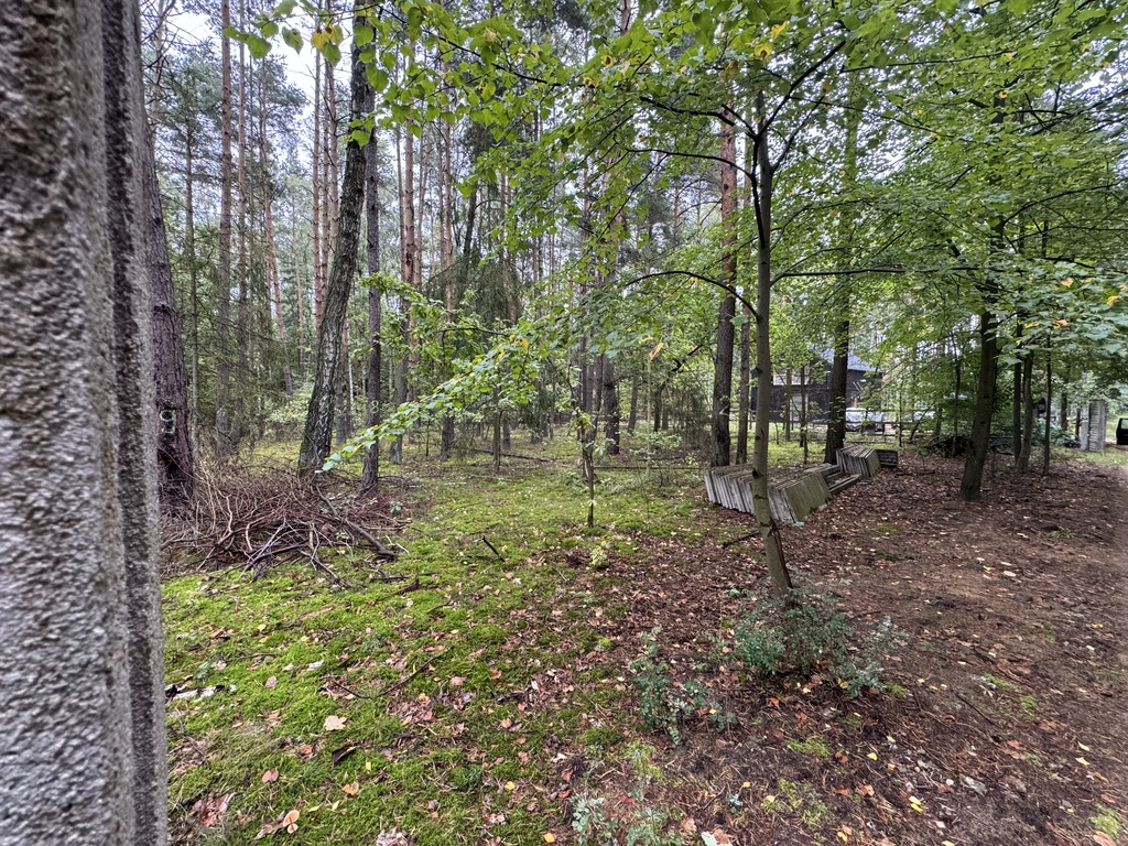 Twoje prywatne grzyby Działka 1993 m² Nowy Adamów