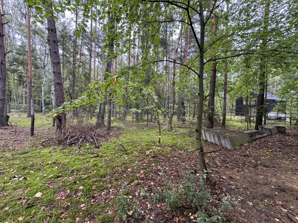 Twoje prywatne grzyby Działka 1993 m² Nowy Adamów