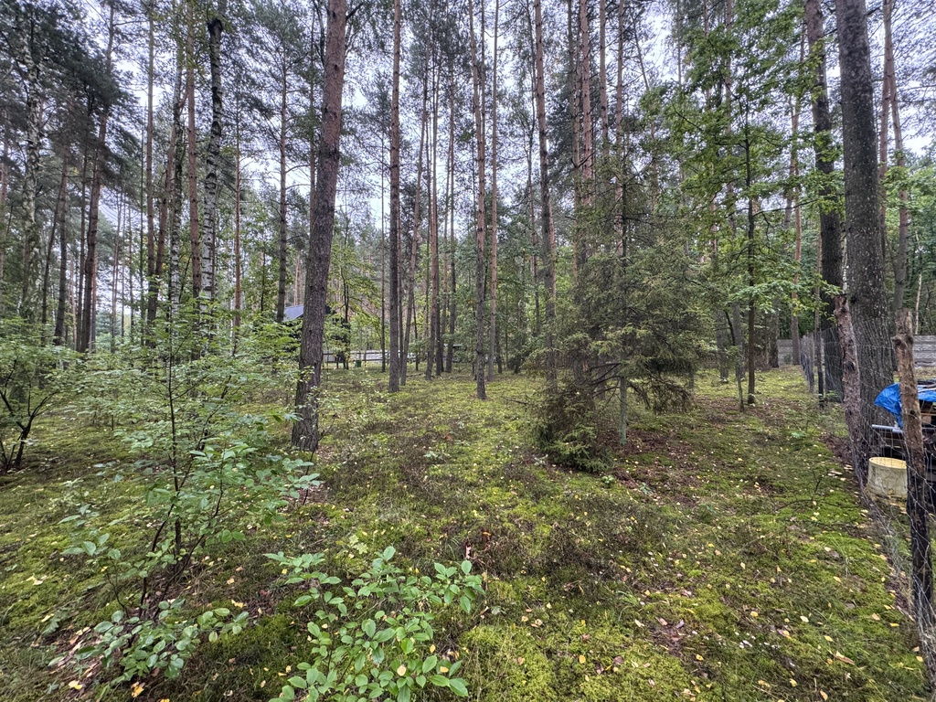 Twoje prywatne grzyby Działka 1993 m² Nowy Adamów