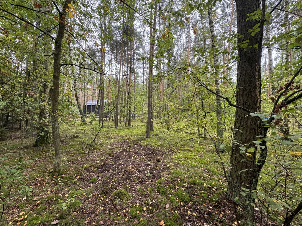 Twoje prywatne grzyby Działka 1993 m² Nowy Adamów