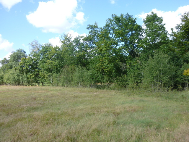 DZIAŁKA SPRZEDAŻ