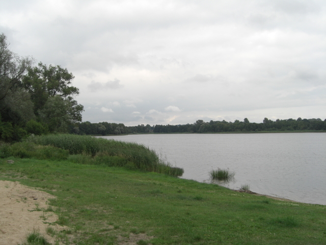 DZIAŁKA SPRZEDAŻ