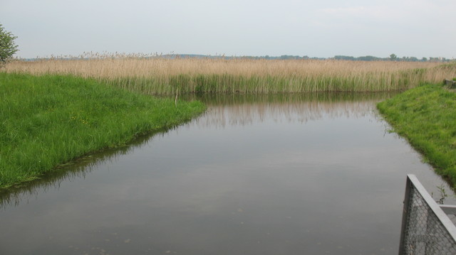 DZIAŁKA SPRZEDAŻ