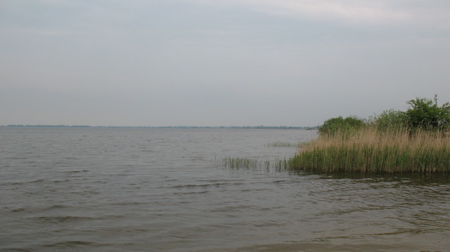 DZIAŁKA SPRZEDAŻ