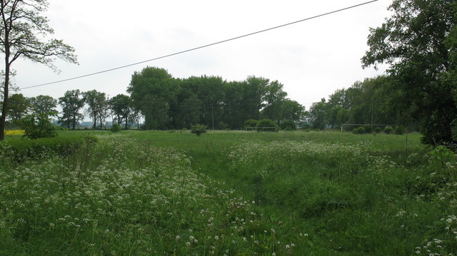 DZIAŁKA SPRZEDAŻ