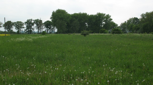 DZIAŁKA SPRZEDAŻ
