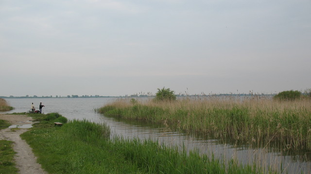 DZIAŁKA SPRZEDAŻ