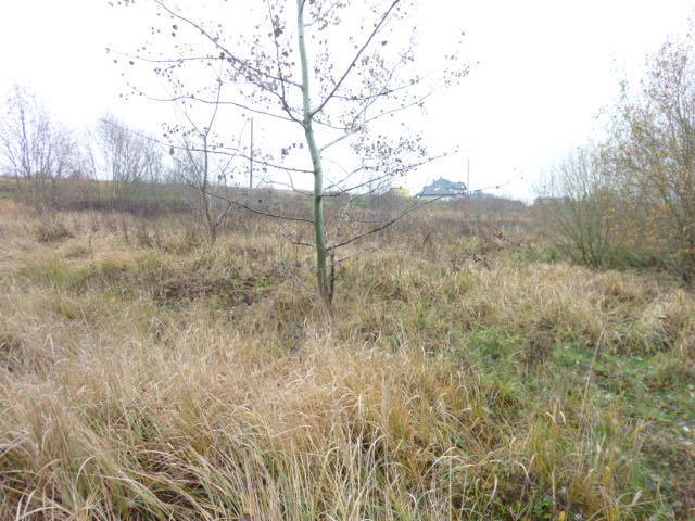 DZIAŁKA 1148 M2,GM.DOBRA