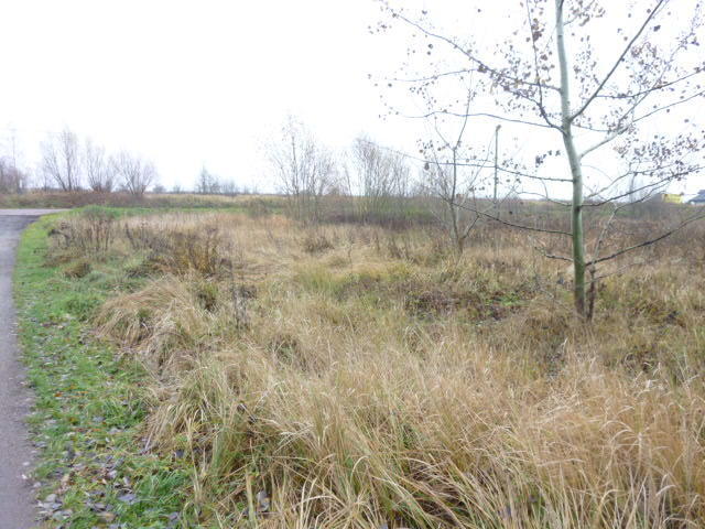 DZIAŁKA 1148 M2,GM.DOBRA