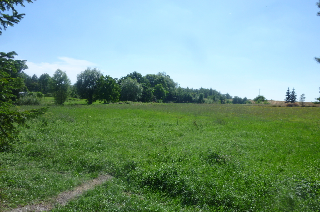 DOM W BĘDARGOWIE,NA DZ.2983 M2,łącznie-1.8815HA.
