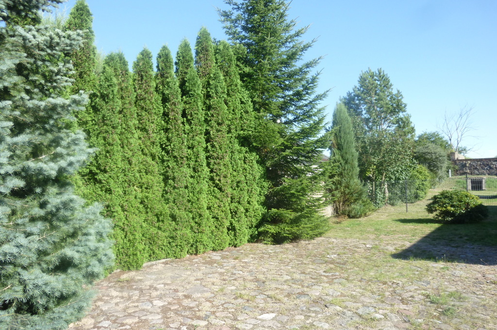 DOM W BĘDARGOWIE,NA DZ.2983 M2,łącznie-1.8815HA.