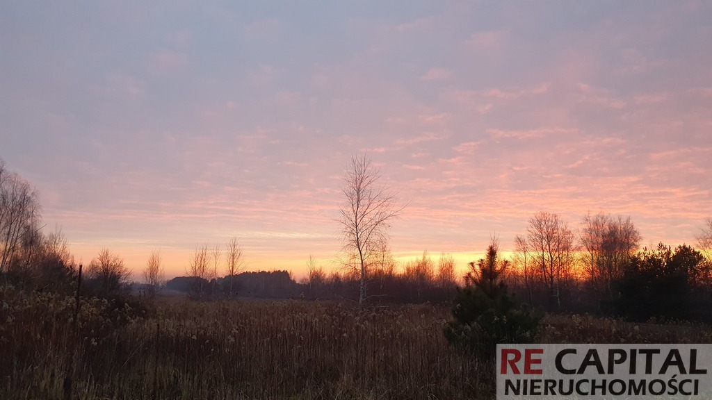 Piękne siedlisko Borzęcin Las Kampinos 3290m2