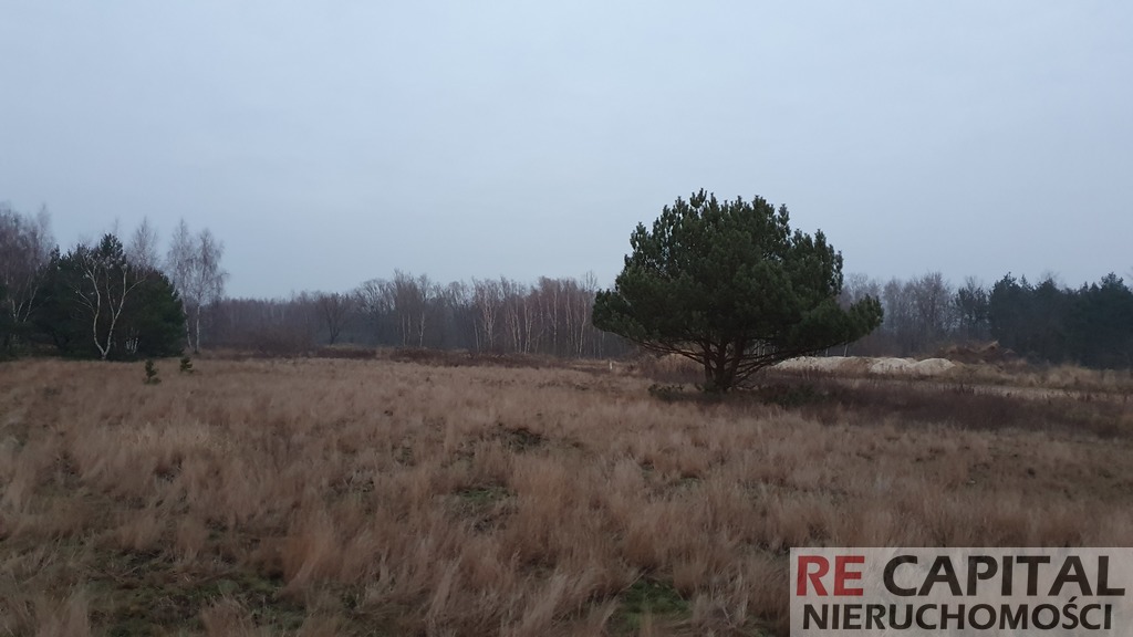 Piękne siedlisko Borzęcin Las Kampinos 3290m2