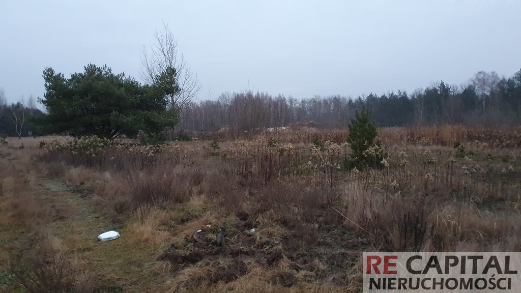Piękne siedlisko Borzęcin Las Kampinos 3290m2