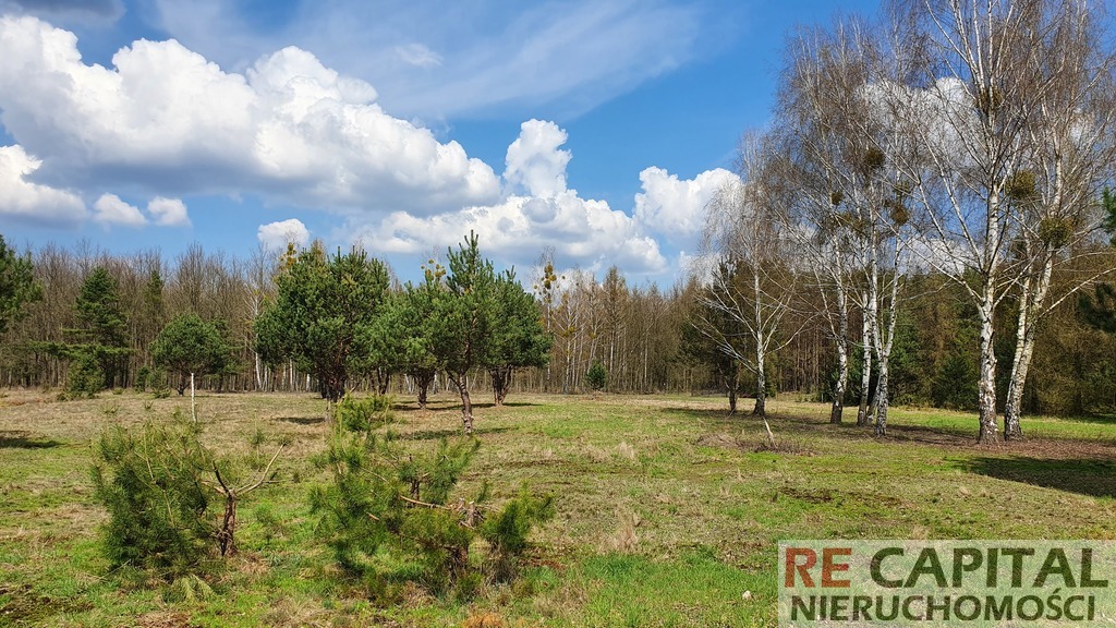Piękna działka pod leśną rezydencję, Szymanówek
