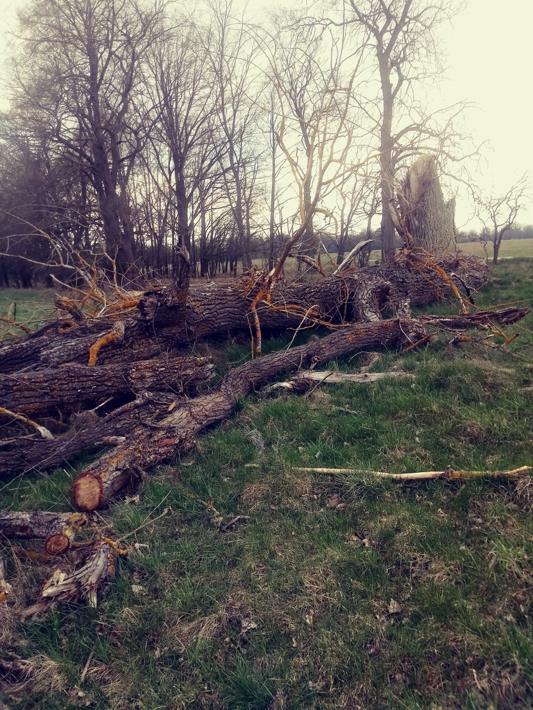 Działka o pow.3219 m2,Łęgi,gm. Dobra,Na Świdwie.