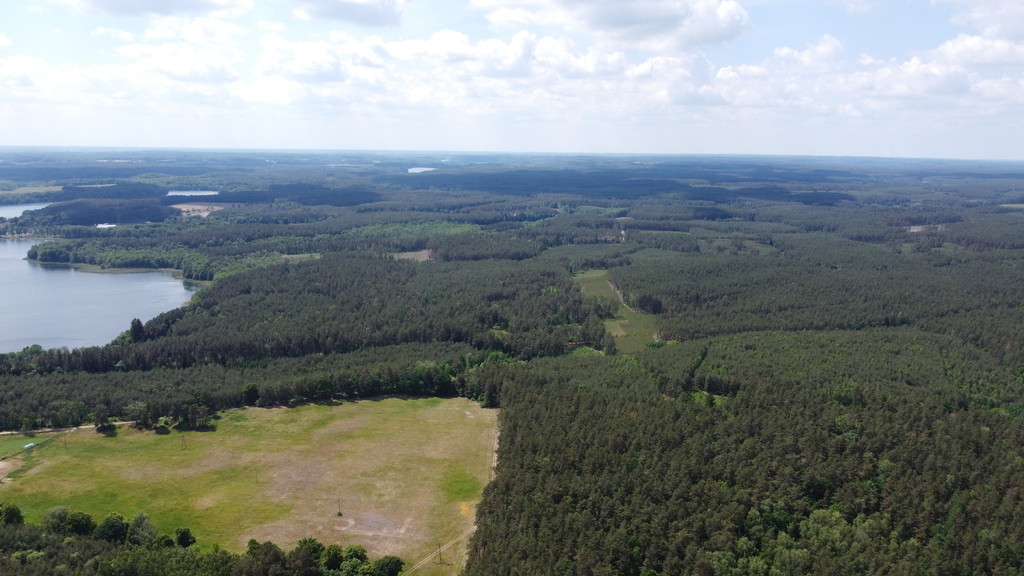 Działka bud.1501m2,obr.Piława,przy J.Łąkie,las.