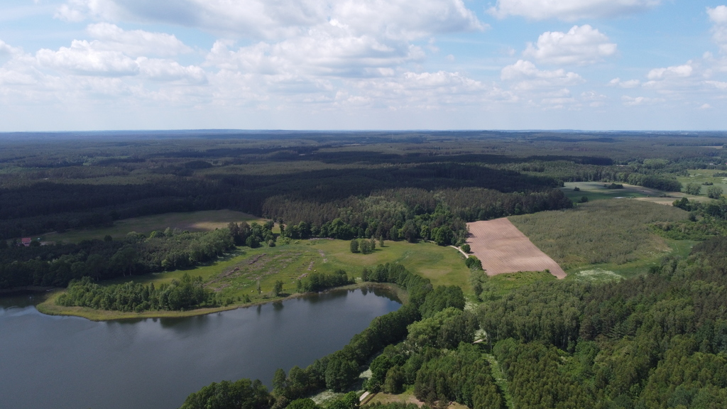 Działka bud.1501m2,obr.Piława,przy J.Łąkie,las.