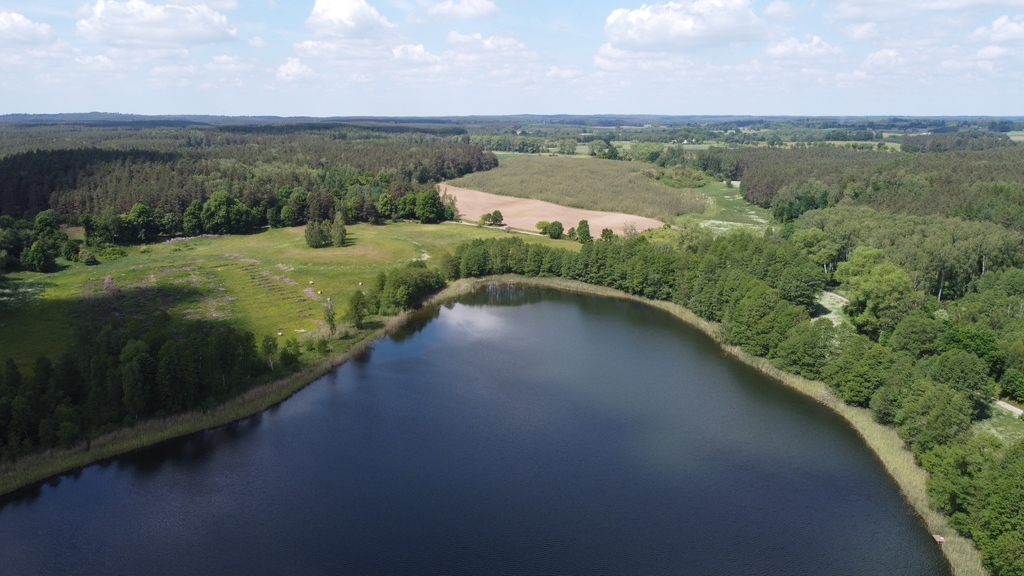 Działka bud.1501m2,obr.Piława,przy J.Łąkie,las.