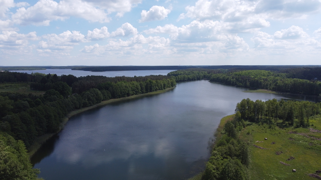 Działka bud.1501m2,obr.Piława,przy J.Łąkie,las.
