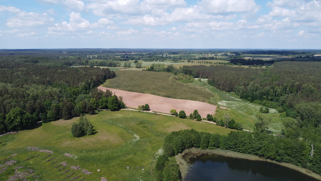 Działka bud.1501m2,obr.Piława,przy J.Łąkie,las.