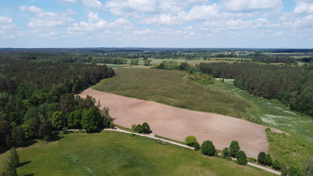 Działka bud.1501m2,obr.Piława,przy J.Łąkie,las.
