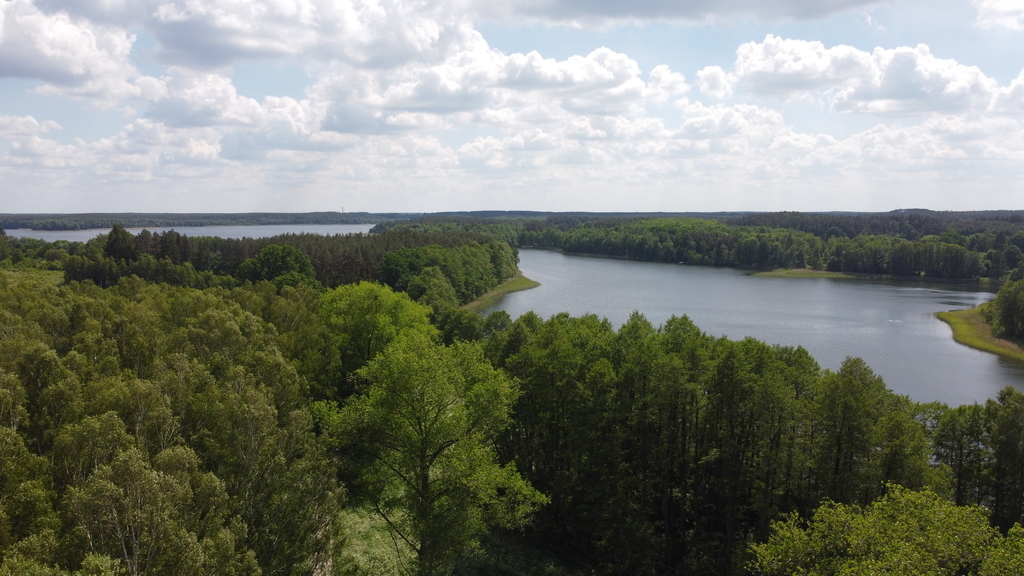 Działka bud.1501m2,obr.Piława,przy J.Łąkie,las.
