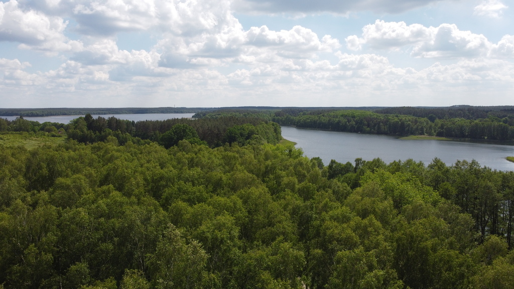 Działka bud.1501m2,obr.Piława,przy J.Łąkie,las.