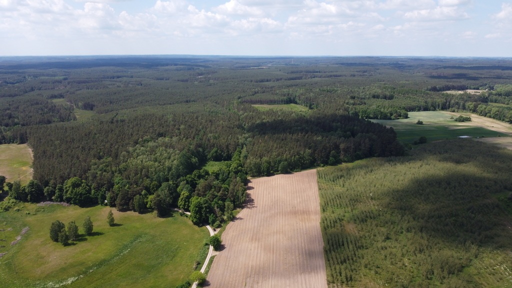 Działka bud.1727m2,obr.Piława,przy J.Łąkie,las.