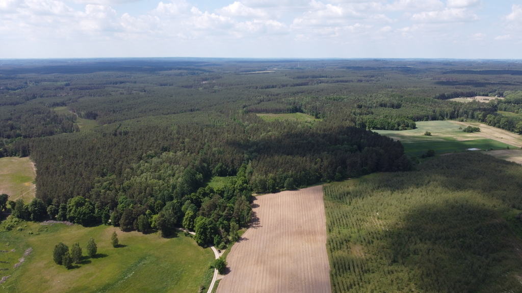 Działka bud.1727m2,obr.Piława,przy J.Łąkie,las.