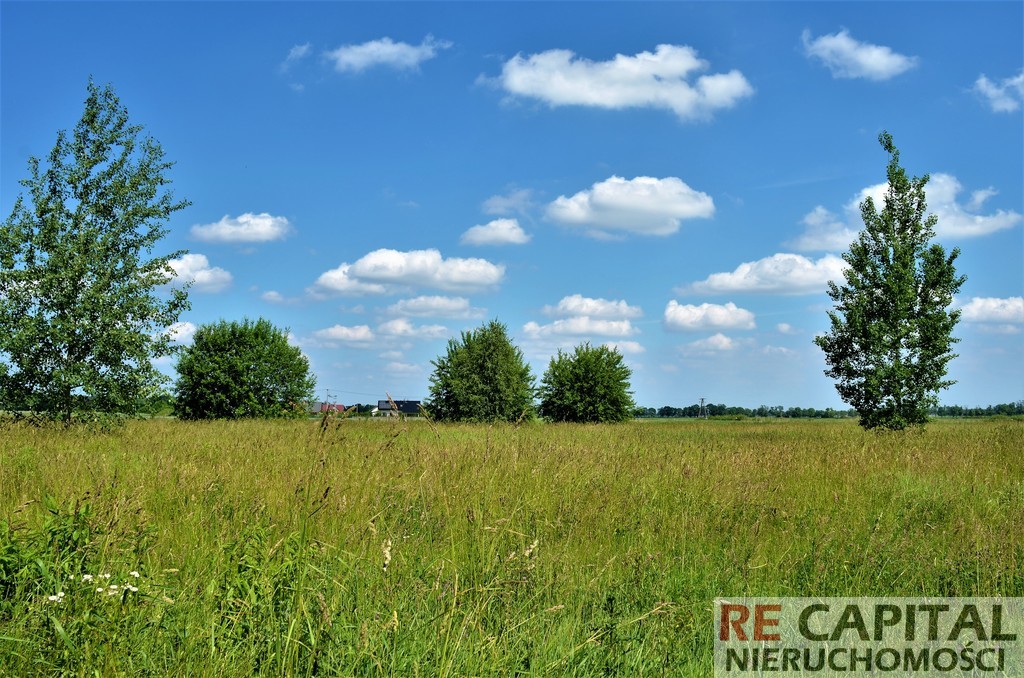 Działka budowlana Zaborówek Leszno 1581m²