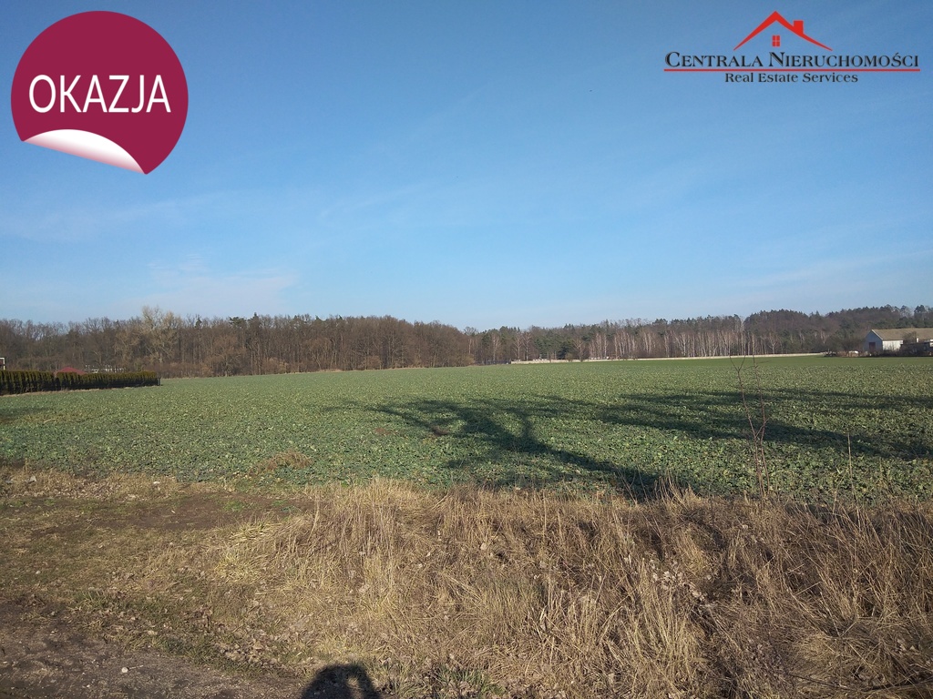 Działka na powstającym osiedlu w Brąchnowie