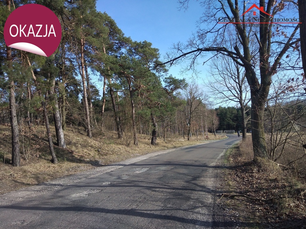 Działka w Czarnym Błocie