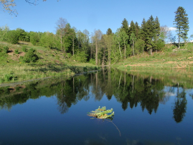 Działka 2.3103ha,m.Bobolice,las,dr.asfaltowa.