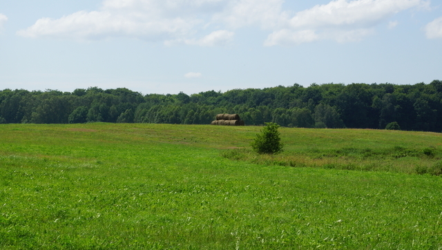 Działka 2.3103ha,m.Bobolice,las,dr.asfaltowa.