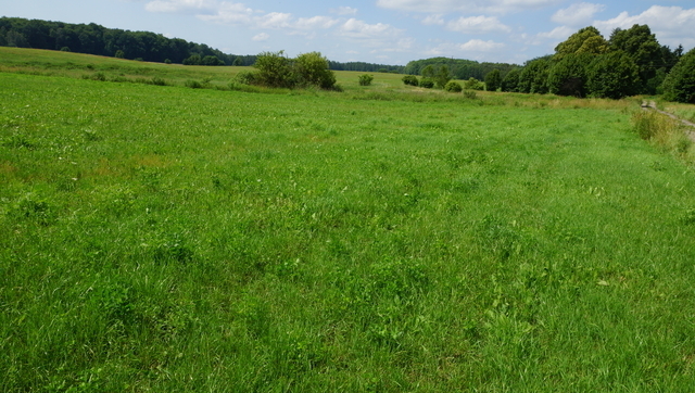Działka 2.3103ha,m.Bobolice,las,dr.asfaltowa.