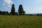 DZIAŁKA SPRZEDAŻ