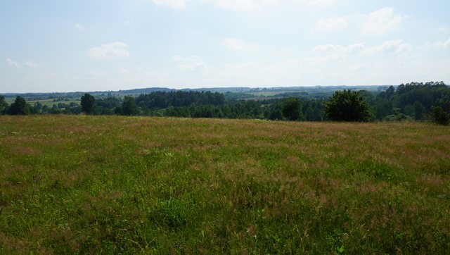 DZIAŁKA SPRZEDAŻ